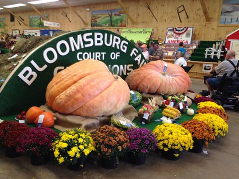 Bloomsburg Fair, Fall In Pittsburgh, Frick Park Pittsburgh, Orange County Fair, State Fair Movie 1945, Fall 2023, Pennsylvania