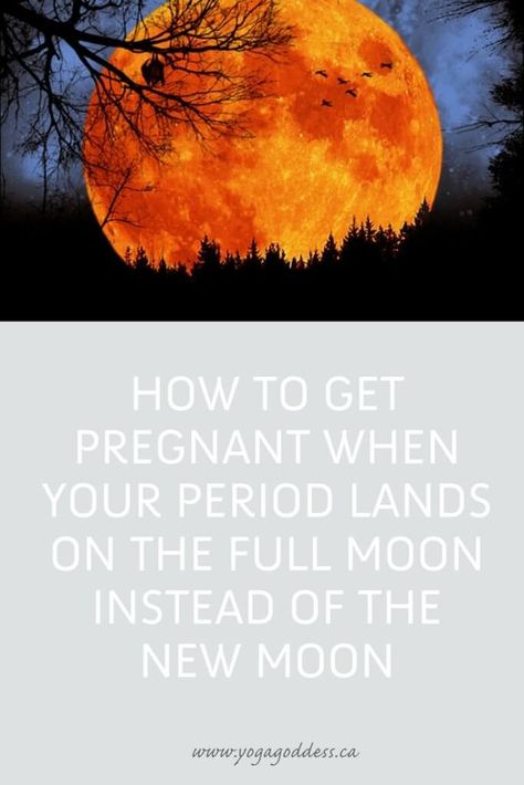 How to Get Pregnant When Your Period Falls on the Full Moon Instead of the New Moon - Yoga Goddess White Moon Cycle, Red Moon Cycle, Fertility Calendar, Full Moon Cycle, Fertility Awareness Method, Period Cycle, Moon Yoga, How To Conceive, Fertility Yoga