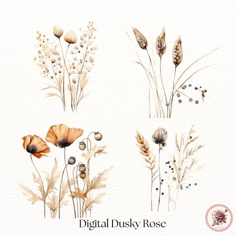 Poppy Clipart, Boho Dried Flowers, Grass Png, Floral Font, Sublimation Ideas Projects Inspiration, Flowers Illustration, Illustration Blume, Sublimation Ideas, Pampas Gras