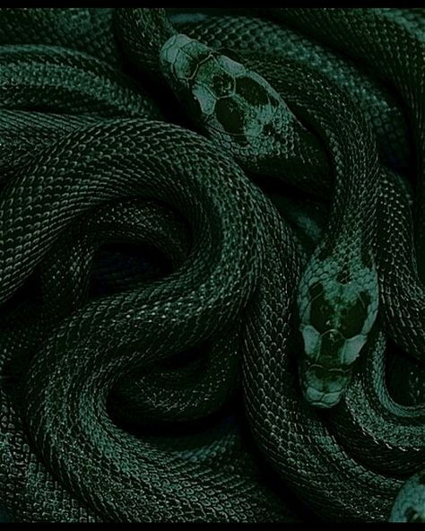 Snakeskin Wallpaper, Green Witch Aesthetic, Slytherin Wallpaper, Arte Occulta, Violet Aesthetic, Green Magic, Verde Smeraldo, Dark Green Aesthetic, Royalty Aesthetic