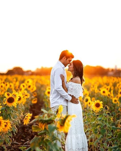 Sunflower Weddings, Sunflower Field Photography, Sunflower Field Pictures, Shooting Couple, Wedding Fotos, Country Wedding Photography, Sunflower Photography, Fall Engagement Pictures, Sunflower Themed Wedding