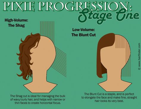 Shag Haircut Tutorial, Subtle Undercut, Transition Hairstyles, Hair Diagram, Haircut Diagram, Hair Template, Haircut Videos, Hair African American, Short Hair Styles African American