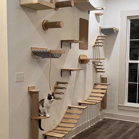 Cat Tree Cat Wall Mounted Climbing Wooden Shelves Posts Ladders with Hammock and Cat House Cat Bridge for Kittens Perch Sleeping - AliExpress Diy Cat Tree On Wall, Cats Climbing Wall, Cat Wall Gym, Cat Tree On Wall, Cat Wall Climbing, Diy Cat Climbing Wall, Cat Wall Shelves Diy, Cat Wall Furniture Diy, Cat Jungle Gym Wall