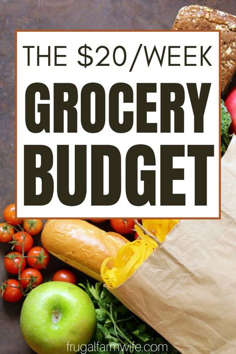 Budget Healthy Grocery List, Frugal Grocery Shopping, Cheap Grocery List, Healthy Grocery Shopping, Healthy Shopping List, Healthy College, Eat On A Budget, Healthy Budget, Budget Family Meals