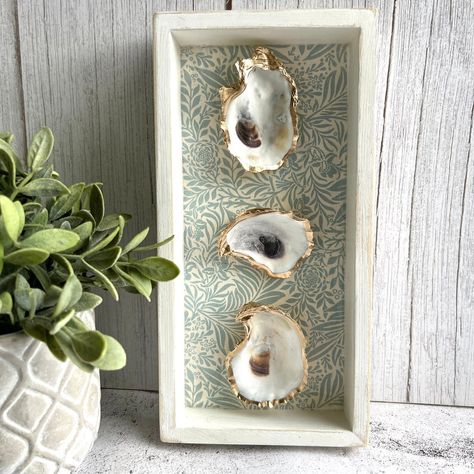 Oyster Wall Decor, Framed Oyster Shells, Shell Decorating Ideas, Gilded Shells, Framed Shells, Oyster Decor, Shell Pictures, Modern Coastal Wall Art, Oyster Shells Decor