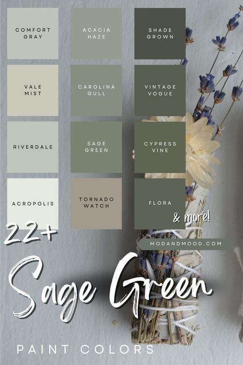 22+ Sage Green paint colors with thumbnails from 12 of the colors over a background of a sage flower bundle Sage Green Paint Color, Sage Green Living Room, Sage Green Paint, Sage Green Bedroom, Green Paint Colors, Inspire Me Home Decor, Living Room Green, Green Rooms, Bedroom Green