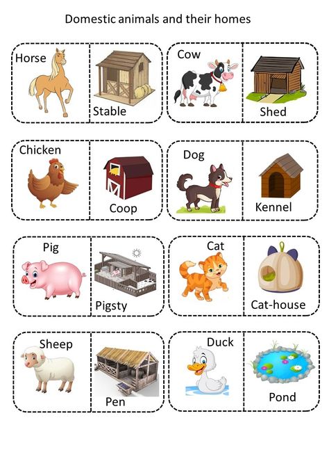 The animals with their homes match Domestic Animals And Their Homes, Animals Home Worksheet, Pet Animals Chart For Kids, Animal Homes Worksheet, Animals And Their Homes Printables, Animal Homes Preschool, Domestic Animals Preschool, Farm Animals And Their Homes, Animals And Their Homes Worksheets