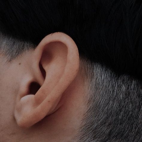 Credence Barebone, Ear Anatomy, How To Draw Ears, Lisbeth Salander, Head Angles, The Girl With The Dragon Tattoo, Human Ear, Drawing Prompt, Story Board