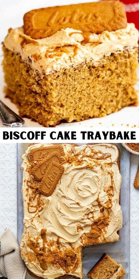 Tray Cake Recipe, Bischoff Cake Recipe, Speculoos Cake Recipe, Cakes For Work, Quick Traybake Recipes, Biscoff Box Cake, Biscoff Traybake Recipes, Tray Dessert Recipes, Dessert With Cookie Butter