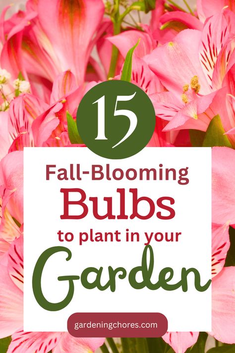 Meet the 15 bulbs that bring the magic of autumn to your garden! With vibrant reds, oranges, and yellows, they light up your outdoor space just when the days start to get cooler. It's like a fireworks show of colors right in your own backyard. Learn more about the blog and begin planting these gorgeous fall-blooming flowers in your garden. Autumn Blooming Flowers, Fall Planting Perennials, Fall Blooming Flowers, Garden Help, Garden Painting, Fall Plants, Bulb Flowers, Planting Bulbs, Flowers Perennials