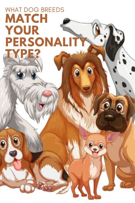 Dog breeds are like people. They also have their personality. Want to know what dog breeds suit your personality type? Read more.. #personalityofdogs #likeparentlikedoggies Dog Personality Types, Lazy Dog Breeds, Medium Dog Breeds, Mixed Dog Breeds, Types Of Dogs Breeds, Human Personality, Dog Breeds Medium, Dog Personality, Tibetan Terrier