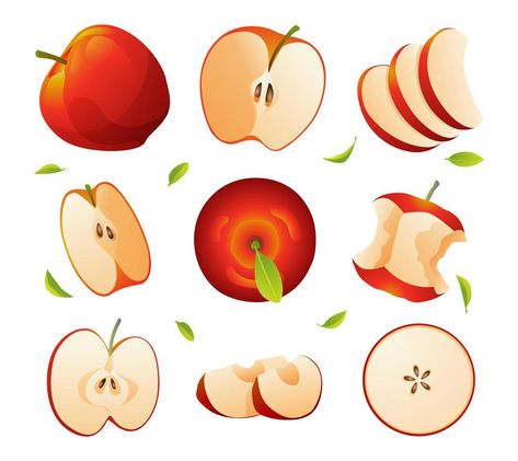 Fruit Slices Drawing, Apple Slice Illustration, Apple Slice Drawing, Sliced Fruit, Apple Illustration, Notion Aesthetic, School Border, Apple Cut, Apple Rings