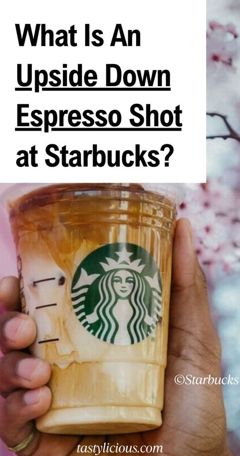 best coffee drinks make coffee at home best starbucks drinks menu starbucks drinks flavor Starbucks Shaken Espresso Order, Starbucks Espresso Drinks, Starbucks Coffee Orders, Best Coffee Drinks, Make Coffee At Home, Oatmeal Shake, Menu Starbucks, Espresso Drink, Starbucks Drink Menu