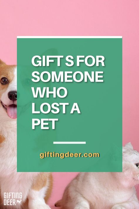 Gifts For Dogs That Have Passed, Pet Died Gift, Pet Loss Gift Basket, Loss Of Pet Gift Ideas, Pet Memorial Gifts Diy, Gifts For People Who Lost A Dog, Gift For Friend Who Lost A Dog, Loss Of A Dog Gifts, Pet Remembrance Gifts