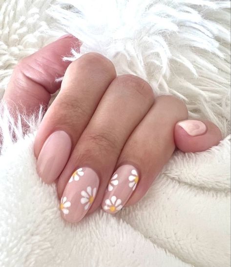 White Flower Pedicure Design, White Flowers On Pink Nails, Pink Nails With White Daisy, Pale Pink Floral Nails, Daisy Ring Finger Nails, Flower Detail Nails, Pink And White Daisy Nails, Pink With White Flowers Nails, Short Daisy Nail Designs