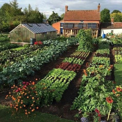 Vegetable Garden Design Ideas, Diy Garden Landscaping, Permaculture Design, Garden Design Layout, Mother Mother, Have Inspiration, Cottage Gardens, Vegetable Garden Design, Garden Design Ideas