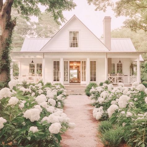 Scarlett Knuth | Are you a hydrangea lover? I need a bestie who can come over and help me plant 100 hydrangeas like this in my backyard please and thank… | Instagram Hydrangea Cottage Garden, Hydrangeas In Front Of House, Hydrangea Farm, Hydrangea House, Beautiful Front Doors, Old Home Remodel, Joyful Life, Cottage Exterior, Coastal Grandma