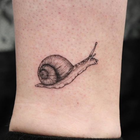 k on Instagram: “✒ All we need is a safe place to sleep ✒ another snail for Lauren 😍 (we might have a secret snail tattoo project in the works) thank you🤗✨…” Mystery Snail Tattoo, Snail Tattoo Fine Line, Matching Snail Tattoo, Realistic Snail Tattoo, Garden Snail Tattoo, Cute Snail Tatoos, Catapillar Tattoos Small, Snail Tattoo Cute, Snail Tatoos