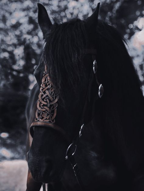 Horse Aesthetic Dark, Black Horse Aesthetic, Medieval Royalty Aesthetic, Medieval Horses, Fantasy Vibes, Medieval Horse, Medieval Aesthetic, Royalty Aesthetic, Writing Motivation