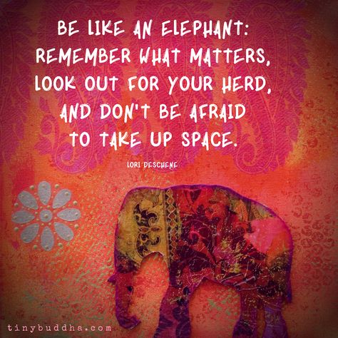 "Be like an elephant: Remember what matters, look out for your herd, and don't be afraid to take up space." ~Lori Deschene⠀ Elephant Spirit Animal, Elephant Quotes, Elephant Facts, Take Up Space, Tiny Buddha, Elephant Illustration, Elephant Drawing, Elephant Love, Elephant Lover