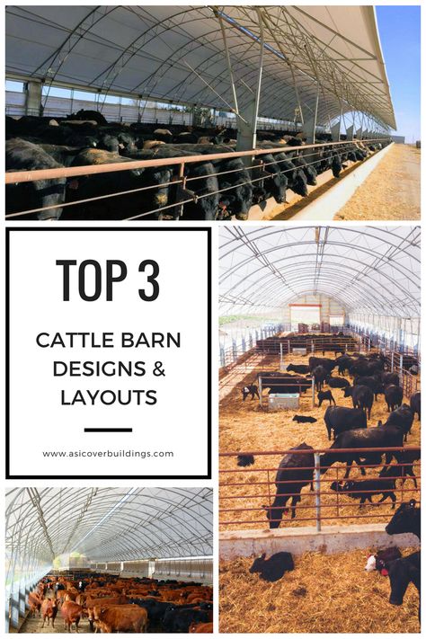 When it comes to building a cattle barn, it's important to provide a healthy environment for your herd to bring optimum cattle comfort which ultimately produces the most profits.  Accu-Steel has 3 professionally designed building layouts for cattle housing, cattle feeding facilities, cow/calf operations, and other industry needs. Check out our latest blog to learn more! Cow Feeding Ideas, Cattle Feedlot Design, Feedlot Cattle Design, Beef Cattle Barn Design, Cattle Farming Layout, Show Cattle Barn Layout, Cow Barn Ideas, Cattle Barn Designs, Show Cattle Barn