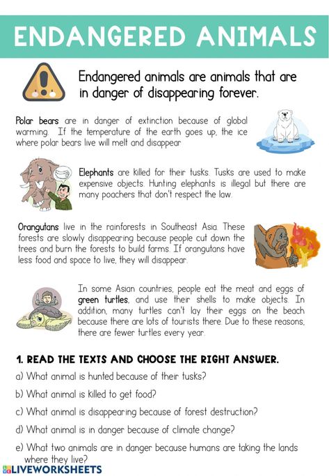 Endangered Animals - Interactive worksheet Endangered Species Activities, Endangered Animals Activities, Endangered Species Project, Endangered Animals Project, Animals Worksheet, Species Extinction, Materi Bahasa Inggris, Animal Lessons, Animal Worksheets