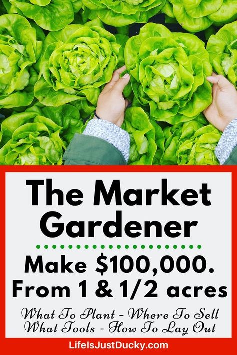 How to set up a successful market garden. Learn how to make a living on your homestead. A review of The Market Gardener. Set up a profitable garden. Garden Trellises Ideas, Market Garden Ideas, Apartment Homestead, Backyard Homesteading, Homestead Design, Agriculture Business, Plant Tips, Homesteading Diy, Farming Business