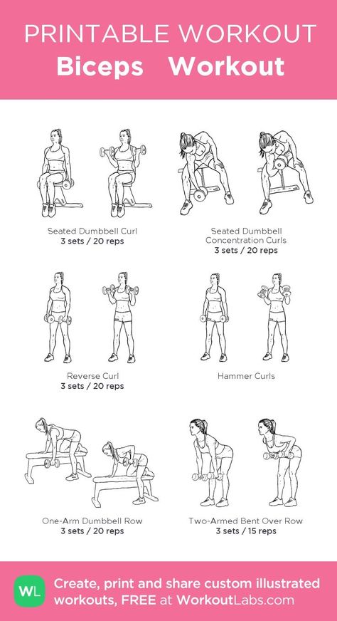 Bus And Tris Workout, Bicep And Shoulder Workout, Back And Bicep Workout Dumbell, Biceps Workout For Women, Chest And Bicep Workout, Bicep Workout Women, Bicep Workout Gym, Workout Female, Back And Bicep Workout