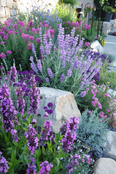 Perennial Flower Garden Ideas, Raised Flower Bed Planting Ideas, Hydrangea In Flower Bed, Creative Flower Beds, Cottage Style Flower Beds, Pink And Purple Landscaping, Gardens With Lavender, Pink And Purple Flower Garden, Flower Bed With Hydrangeas