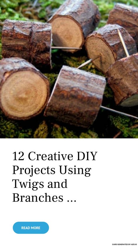 Twig And Branch Projects, Twigs Diy Craft Ideas, Diy With Tree Branches, Wood Branch Crafts, Branch Crafts Diy, Twig Crafts Branches Sticks Diy Ideas, Crafts With Tree Branches, Twigs And Branches Decor, Stick Art Branches