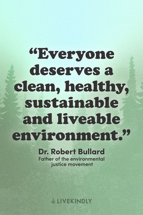 Sustainability Quotes, Environmental Quotes, Environment Quotes, Justice Quotes, Cleaning Quotes, Save Mother Earth, Design Quotes Inspiration, Climate Justice, Environmental Justice