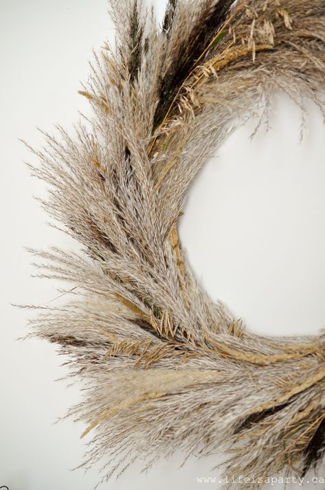 Pampas Grass Wreath: This inexpensive DIY wreath is made from foraged grasses. Perfect for fall, easy to make and full of texture. Grass Wreath Diy, Diy Pampas, Pampas Grass Wreath, Pumpkin Patch Farm, Life Is A Party, Grass Wreath, Straw Wreath, Wreath Indoor, Fountain Grass