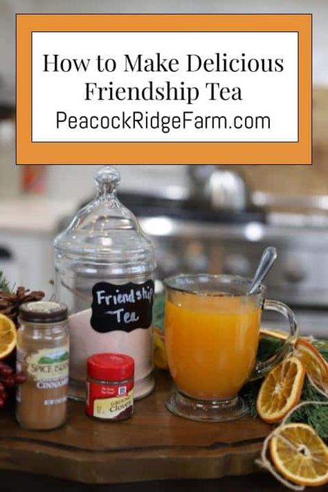 Friendship Tea Mix Recipe, Friendship Tea Recipe, Holiday Hot Cocoa Bar, Friendship Tea, Autumn Tea Party, Spiced Tea, Winter Salad Recipes, Hot Drinks Recipes, Lipton Tea