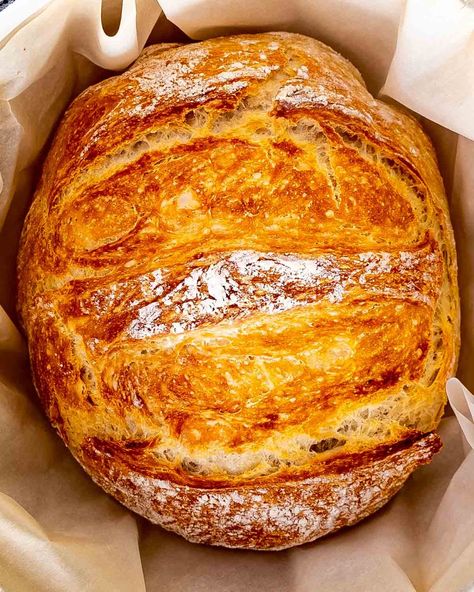 No Knead Bread - no kneading required, 4 simple ingredients, baked in a Dutch Oven! The result is simple perfection, best bread ever. Bread Recipe No Dutch Oven, Rustic Bread Recipe, Dutch Oven Bread Recipe, Traditional Turkey, Oven Bread, Dutch Oven Bread, Jo Cooks, Artisan Bread Recipes, Knead Bread