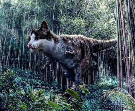 Cat Dinosaur, Animal Mashups, Random Animals, Hilarious Animals, Family Guy Funny, Family Guy Funny Moments, Jurassic Park, Jurassic World, Funny Things