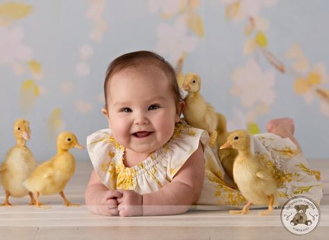 Ducks!  Need to get a photo like this with baby Ava!! Baby With Chicks Photography, Baby Duck Photoshoot, Baby Chick Photoshoot, Baby Chicks Photography, Baby Easter Pictures, Easter Baby Photos, Easter Minis, Easter Portraits, Easter Pics