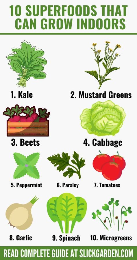 10 SUPERFOODS THAT CAN GROW INDOOR. You can get healthy vegetables at home. You don’t need to be an experienced gardener to grow healthy vegetables for your kitchen at home. All you need is a sunny window and some extra time is enough for this purpose. Grow Spices Indoors, Kitchen Indoor Garden, Spices To Grow At Home, Start Indoor Garden, Indoor Fruit And Vegetable Garden, Food You Can Grow Indoors, Indoor Food Plants, Fast Growing Indoor Plants, Kitchen Garden Ideas Growing Vegetables