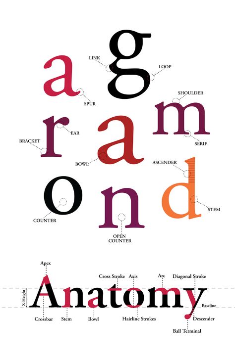 Garamond Pro Anatomy of Typography - Poster Design on Behance Typography Infographic Design, Anatomy Of Type Poster, Bodoni Poster Typography, Typography Anatomy Poster, Type Anatomy Poster, Typography Terminology, Typeface Anatomy, Garamond Poster, Bodoni Poster