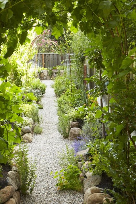 The New Vegetable Garden: 8 Favorite Edible Backyards - Gardenista Star Apple, Edging Plants, California Garden, Garden Vines, Potager Garden, Veg Garden, Side Garden, Home Vegetable Garden, Vegetable Garden Design