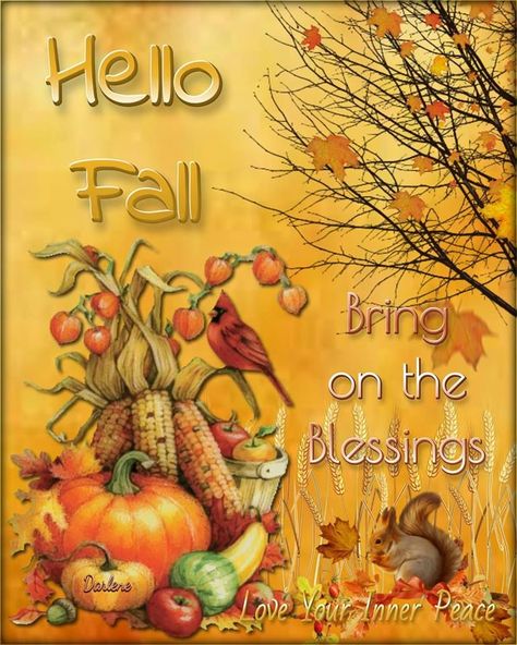 Good Morning Fall Quotes, Good Morning Fall, Darlene Love, Seasons Months, Fall Quotes, Sayings And Quotes, Autumn Morning, Fall Inspiration, Tumblr Image