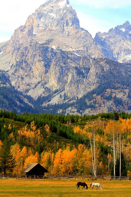 Grand Teton National Park; photo by .Patrick Brusil Autumn Colors, Lombok, Places Around The World, Belle Photo, Vacation Spots, Wyoming, Beautiful World, Beautiful Landscapes, Wonders Of The World