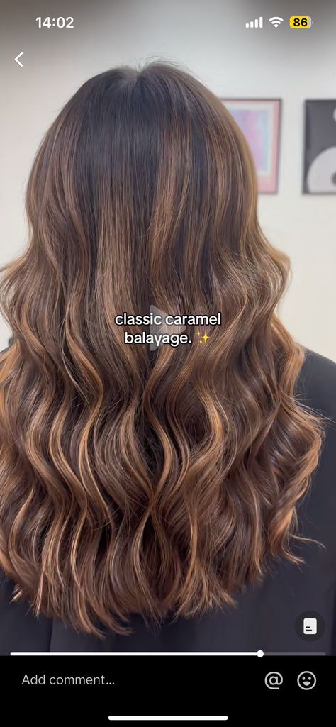 Brown Balayage Blowout, Partial Balayage On Brown Hair, Warm Walnut Balayage, Natural Dark Brown Hair With Highlights, Brown Sugar Brunette Balayage, Light Brown Hair With Subtle Highlights, Brunnete Blonde Highlight, No Bleach Balayage Dark Hair, Hazelnut Highlights