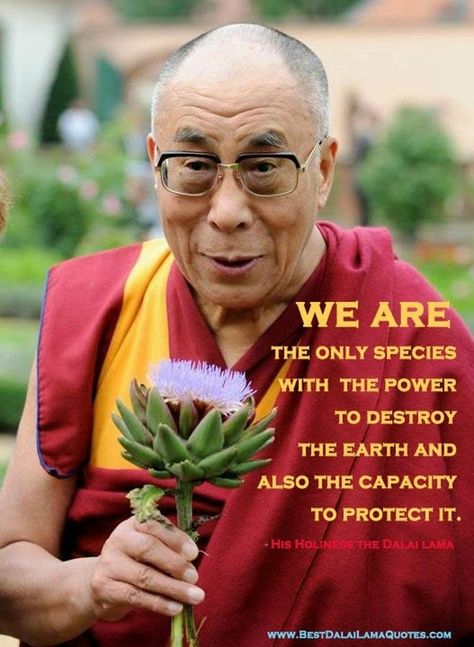 14th Dalai Lama, Dalai Lama Quotes, Earth Quotes, Save Our Earth, Buddhism Quote, Buddhist Quotes, Buddha Quotes, Dalai Lama, Mahatma Gandhi