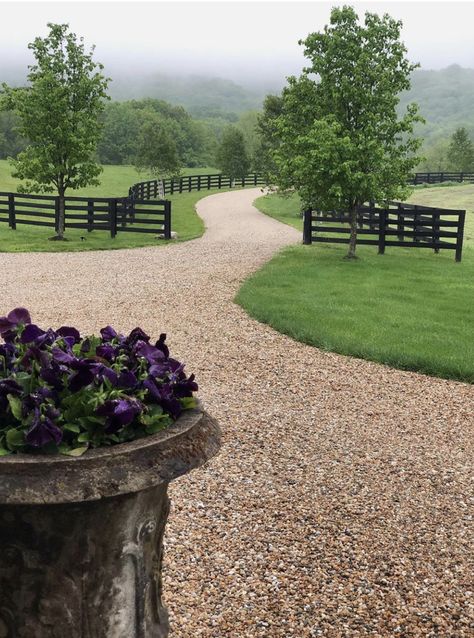 Walkway From Driveway To Backyard, Farm Driveway, Country Driveway, The Soft Life, Farm Landscaping, A Soft Life, Driveway Entrance Landscaping, Farm Entrance, Driveway Entrance