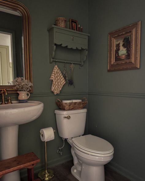 Half Bath Gold Accents, Powder Bath Paint Ideas, Dark Academia Bathroom Small, Tiny Bathroom Aesthetic, Green Bathroom With Gold Accents, Cottage Half Bath, Dark Green Small Bathroom, Cabin Powder Room, Half Bath Paint Ideas