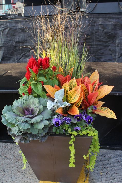 Fall Potted Plants, Fall Urn, Fall Flower Pots, Fall Pots, Fall Garden Decor, Garden Mum, Fall Container Gardens, Ornamental Cabbage, Fall Containers