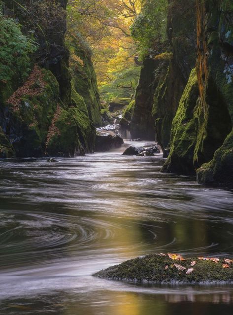 Relaxing Pictures, Calming Photos, Relaxing Photos, Relaxing Images, Calming Images, Calming Pictures, Fairy Glen, Snowdonia National Park, Snowdonia