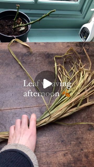 Suzie Grieve on Instagram: "Perfect way to spend this rainy day :)   Seeing the response to yesterdays post seems a lot of us feel a bit awkward and weird with this whole social media malarkey 🧌  Thank you for being understanding 💚 ye make me feel so supported in my tiny leafy basket creating.  . . . #basketry #basketmaker #weaving #slowcraft #minatures #miniaturebasket" Weaving A Basket, Diy Seagrass Basket, Grass Weaving Diy, Weaving Natural Materials, Lemongrass Basket Weaving, Natural Basket Weaving, Grass Craft Ideas, Reed Basket Weaving Diy, Random Weave Baskets