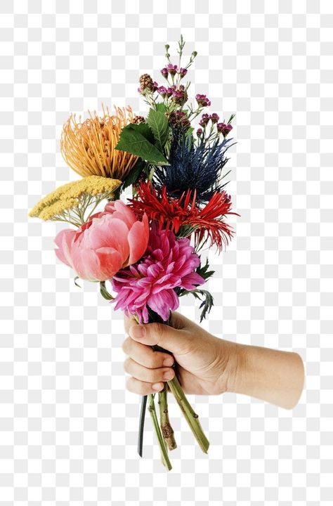 Hand Holding Flower Bouquet, Bunch Of Flowers Drawing, Holding Flower Bouquet, Flower In Hand, Hand Holding Flower, Flower Bouquet Png, Christmas Images Free, Hands Holding Flowers, Hands Drawing