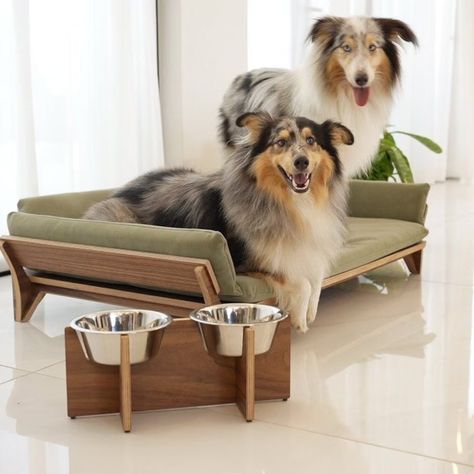 mid-century modern dog feeder Modern Dog Feeder, Elevated Food, Pet Bowl Stand, 30 Aesthetic, Raised Dog Feeder, Elevated Dog Feeder, Dog Bed Modern, Raised Dog Bowls, Elevated Dog Bowls